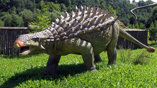 Ankylosaurus, a genus of a heavily armored dinosaur with a large club-like protrusion at the end of its tail. The nodosaur is an ancient cousin of the better-known ankylosaurus Ankylosaurus, a genus of a heavily armored dinosaur with a large club-like protrusion at the end of its tail. The nodosaur is an ancient cousin of the better-known ankylosaurus - Sputnik International