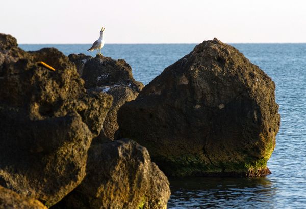 Relax Like a Russian: Beautiful Seaside Resorts Across the Country - Sputnik International