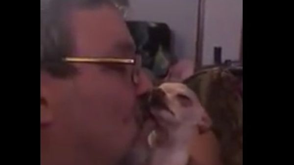 Chihuahua kisses - Sputnik International