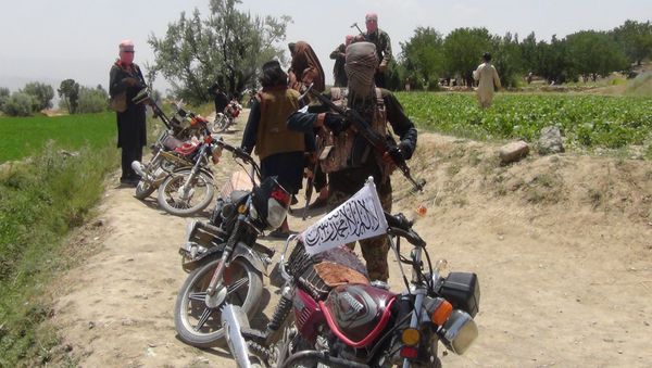 Taliban fighters - Sputnik International