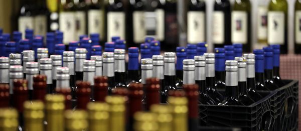 Photo of Wine Bottles - Sputnik International