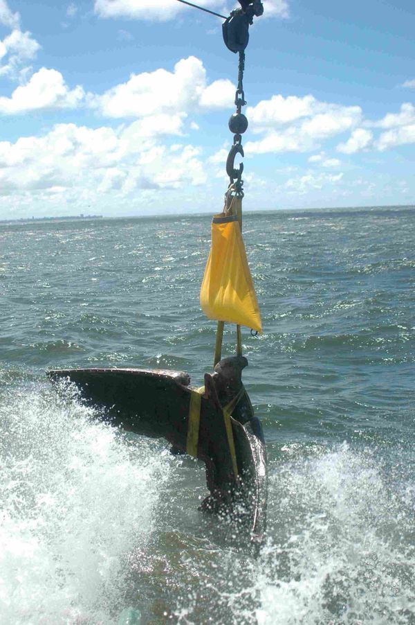 The recovery of a bronze eagle figurehead previously mounted on Graf Spee warship - Sputnik International