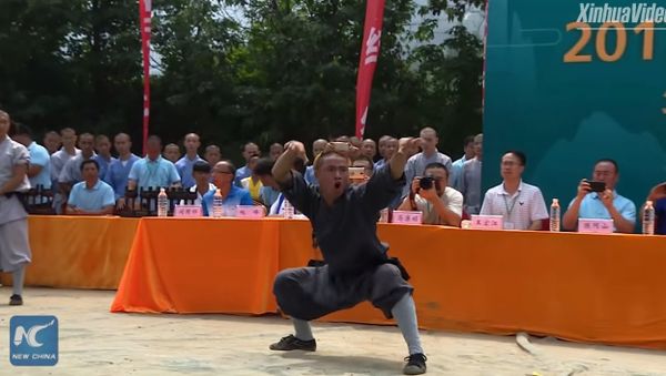 Snake, tiger, or toad? Stunning Kung Fu show at Shaolin Temple in China's Henan - Sputnik International