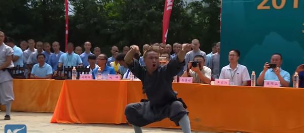 Snake, tiger, or toad? Stunning Kung Fu show at Shaolin Temple in China's Henan - Sputnik International
