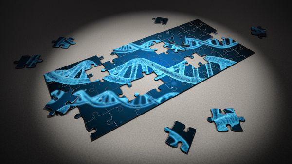DNA - Sputnik International
