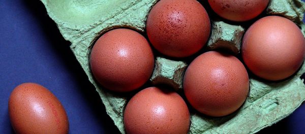 Eggs Eggs - Sputnik International