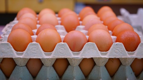 Eggs Eggs - Sputnik International