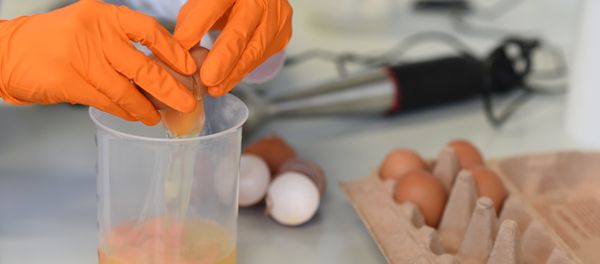 A laboratory technician checks eggs in a laboratory - Sputnik International