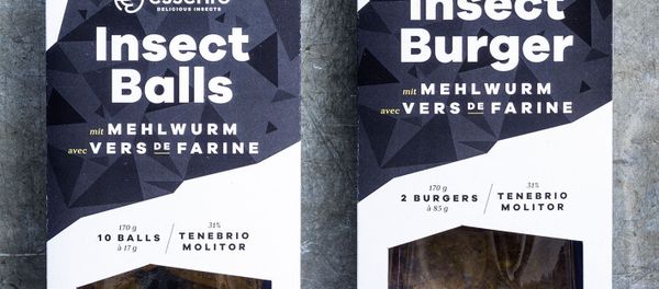 Essento products Essento products - Sputnik International