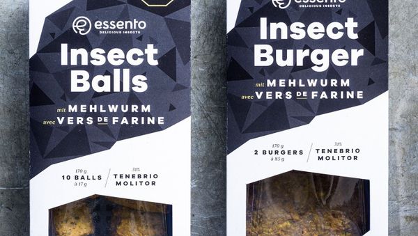 Essento products - Sputnik International