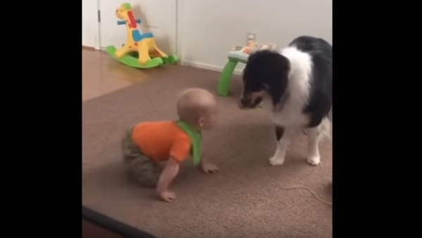 Baby’s Best Bud: Friends at Play - Sputnik International