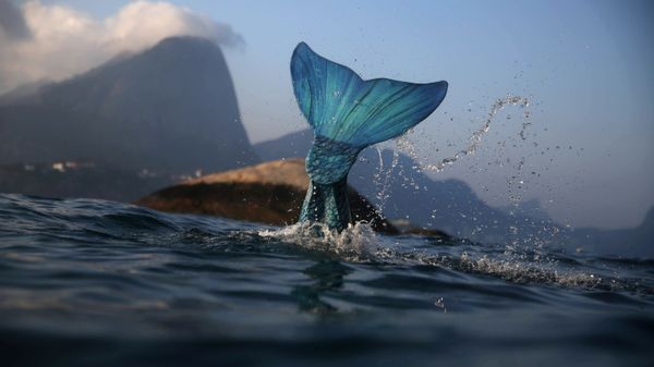 Mermaid tail - Sputnik International