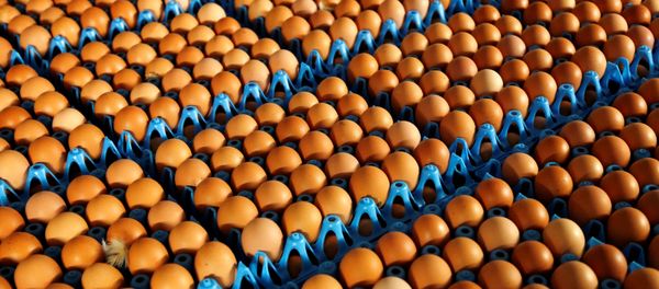 Eggs Eggs - Sputnik International