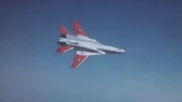 F-14 Tomcat Spin - Sputnik International