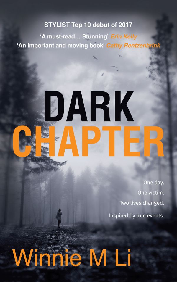 The cover of the novel Dark Chapter - Sputnik International