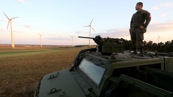 An Austrian soldier watches the border for illegally entering migrants (File) - Sputnik International