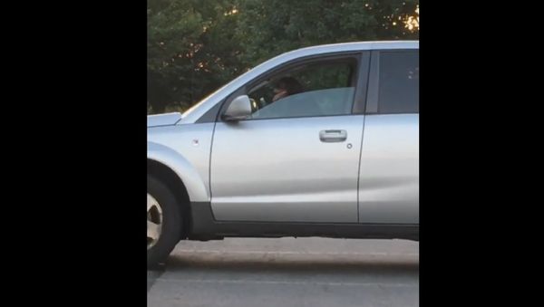 Dog won't stop honking the horn for it's owner!! - Sputnik International