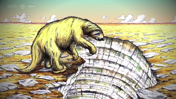Fossils of New Giant Sloth Species Discovered in Mexico By Cave Diver - Sputnik International