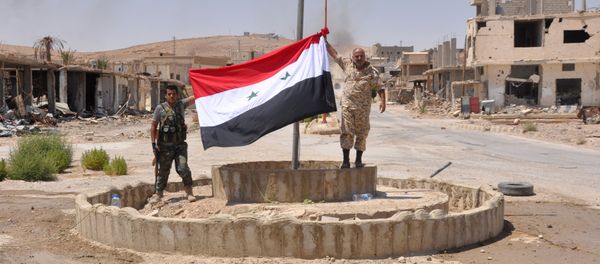 Pro-government fighters hold up a Syrian flag in the central Syrian town of Al-Sukhnah - Sputnik International