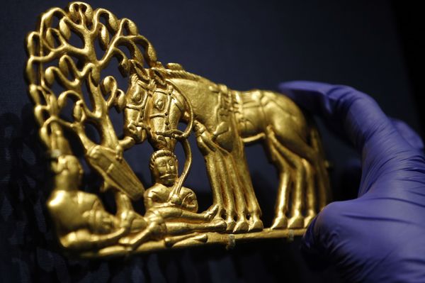 Skeleton That Tells a Story: Scythian Amazon Found in Remarkable Discovery by Russian Archaeologists - Sputnik International