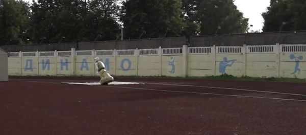 Robot - Sputnik International
