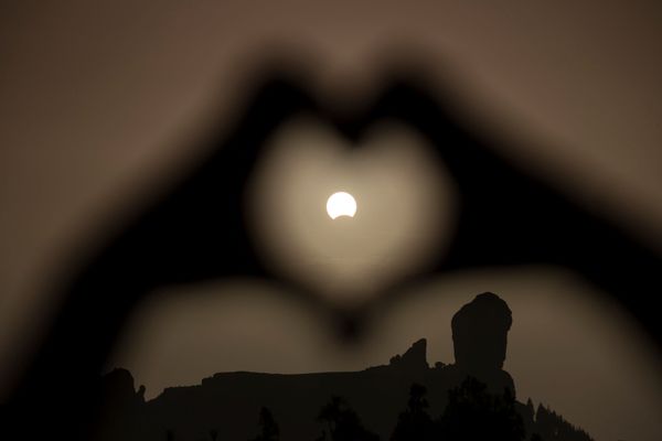 The Day When the Sun Disappeared: Solar Eclipse Worldwide Furor The Day When the Sun Disappeared: Solar Eclipse Worldwide Furor - Sputnik International