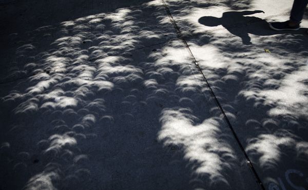 The Day When the Sun Disappeared: Solar Eclipse Worldwide Furor The Day When the Sun Disappeared: Solar Eclipse Worldwide Furor - Sputnik International