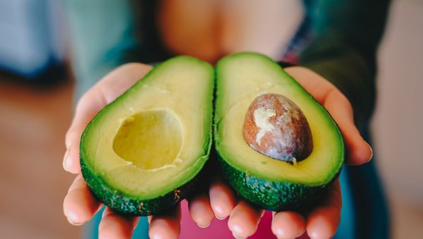 Avocados - Sputnik International
