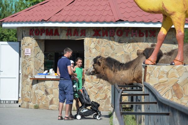 Delight for the Eye: Crimea's Incredible Animal Paradise Delight for the Eye: Crimea's Incredible Animal Paradise - Sputnik International