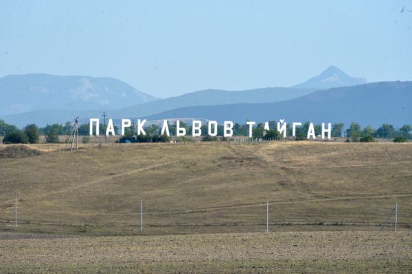 Delight for the Eye: Crimea's Incredible Animal Paradise Delight for the Eye: Crimea's Incredible Animal Paradise - Sputnik International
