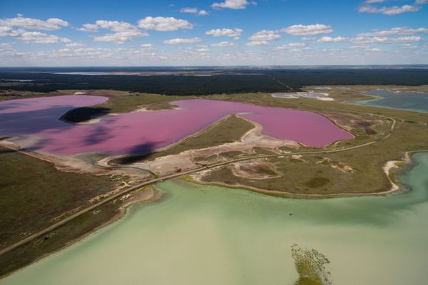 Pink and Salty: Incredible Lakes of Russia's Altai Region - Sputnik International