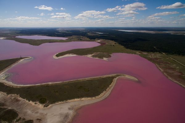 Pink and Salty: Incredible Lakes of Russia's Altai Region - Sputnik International