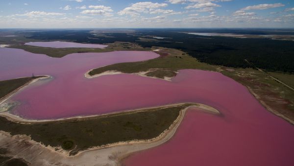 Pink and Salty: Incredible Lakes of Russia's Altai Region - Sputnik International