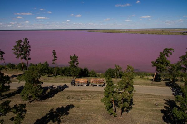 Pink and Salty: Incredible Lakes of Russia's Altai Region - Sputnik International