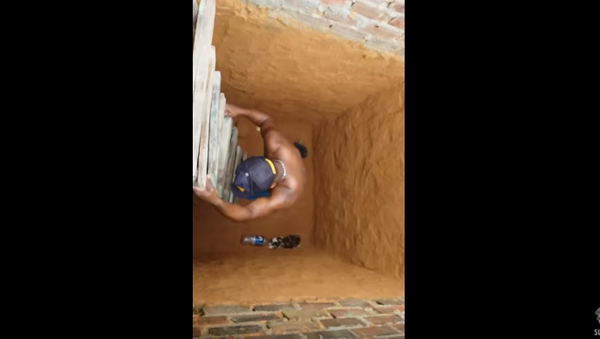 No Thank You: Acrobatic Cat Doesn’t Need Saving - Sputnik International
