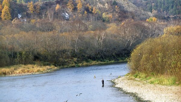 The Lyutoga River in Sakhalin Island. (File) - Sputnik International