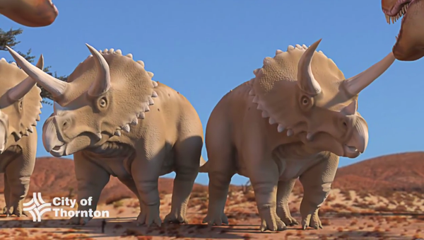 Construction workers in Thornton, Colorado, discover remains of a triceratops - Sputnik International