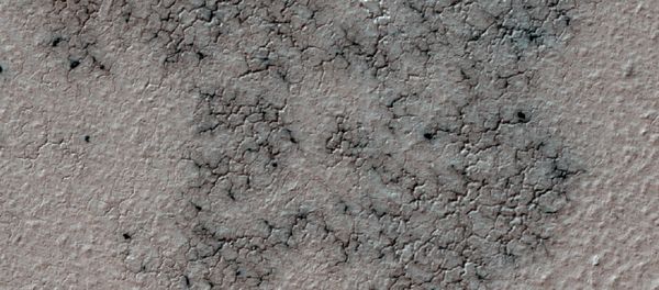 This image shows spidery channels eroded into Martian ground. It is a Sept. 12, 2016, example from HiRISE camera high-resolution observations of more than 20 places that were chosen in 2016 on the basis of about 10,000 volunteers' examination of Context Camera lower-resolution views of larger areas. - Sputnik International