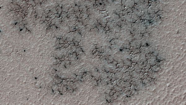 This image shows spidery channels eroded into Martian ground. It is a Sept. 12, 2016, example from HiRISE camera high-resolution observations of more than 20 places that were chosen in 2016 on the basis of about 10,000 volunteers' examination of Context Camera lower-resolution views of larger areas. - Sputnik International