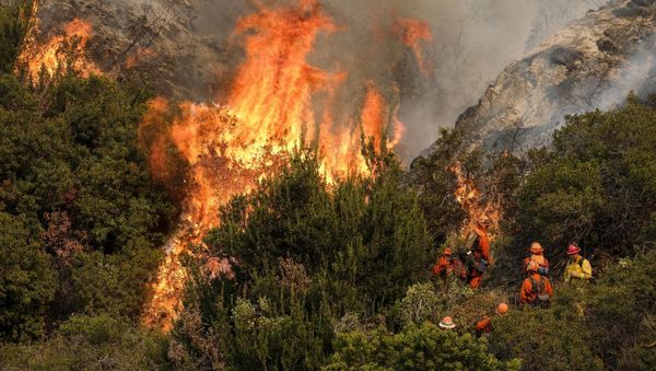 A crew with California Department of Forestry and Fire Protection (Cal Fire) battles a brushfire on the hillside in Burbank, California - Sputnik International