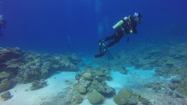 Diver - Sputnik International