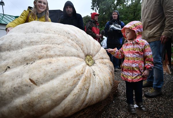 This Week in Pictures (September 2-8) This Week in Pictures (September 2-8) - Sputnik International