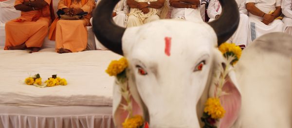 Hindu saints sit in protest against the killing of a calf by Congress party workers in the southern Indian state of Kerala, in Ahmadabad, India - Sputnik International