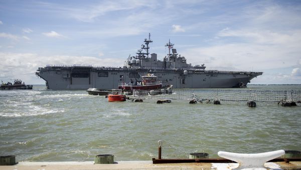 USS Wasp - Sputnik International