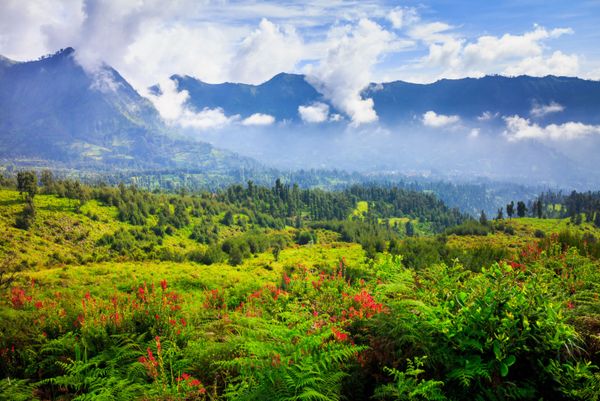 The 20 Most Beautiful Countries in the World According to Rough Guides - Sputnik International