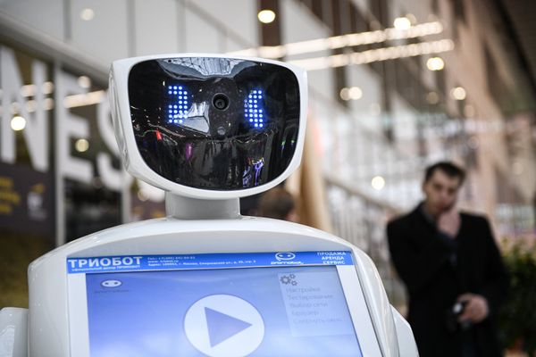 We Have to Develop Scalable Methods for AI Control so it Remains Aligned With Human Values - Prof. We Have to Develop Scalable Methods for AI Control so it Remains Aligned With Human Values - Prof. - Sputnik International