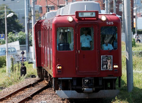 Cats on Tracks: A Ride Aboard the Japanese Feline Train Cafe Cats on Tracks: A Ride Aboard the Japanese Feline Train Cafe - Sputnik International