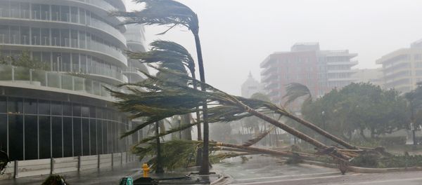 Recently planted palm trees lie strewn across the road as Hurricane Irma passes by, Sunday, Sept. 10, 2017, in Miami Beach, Fla - Sputnik International