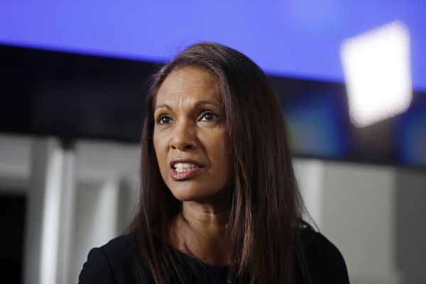 Entrepreneur Gina Miller Entrepreneur Gina Miller - Sputnik International