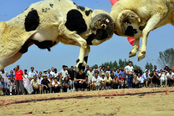 This Week in Pictures (September 9-15) - Sputnik International